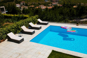 Villa Olympia VIP